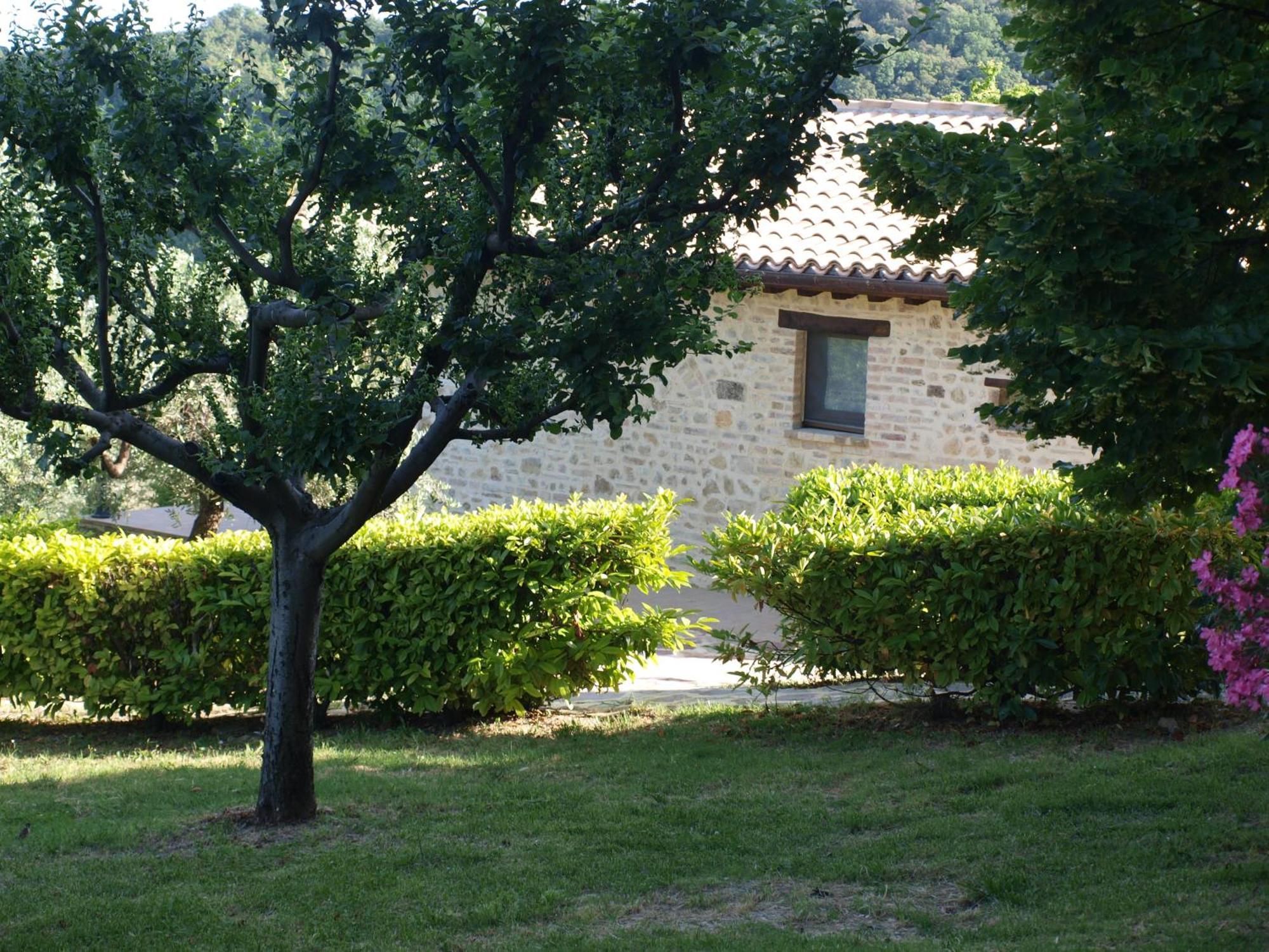 Agriturismo Camiano Piccolo Montefalco Εξωτερικό φωτογραφία